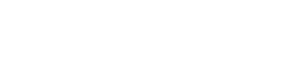 LOGOZINUM_0002_Ativo-4@4x